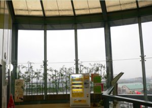  Structure shopping mall supplier with rich experience